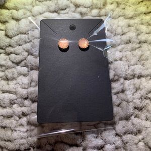 Peachy Colored Earrings